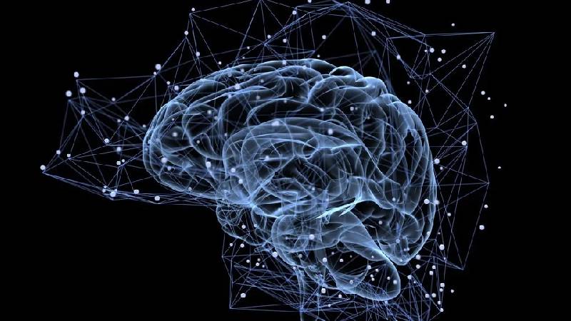Memory and Neuro Health